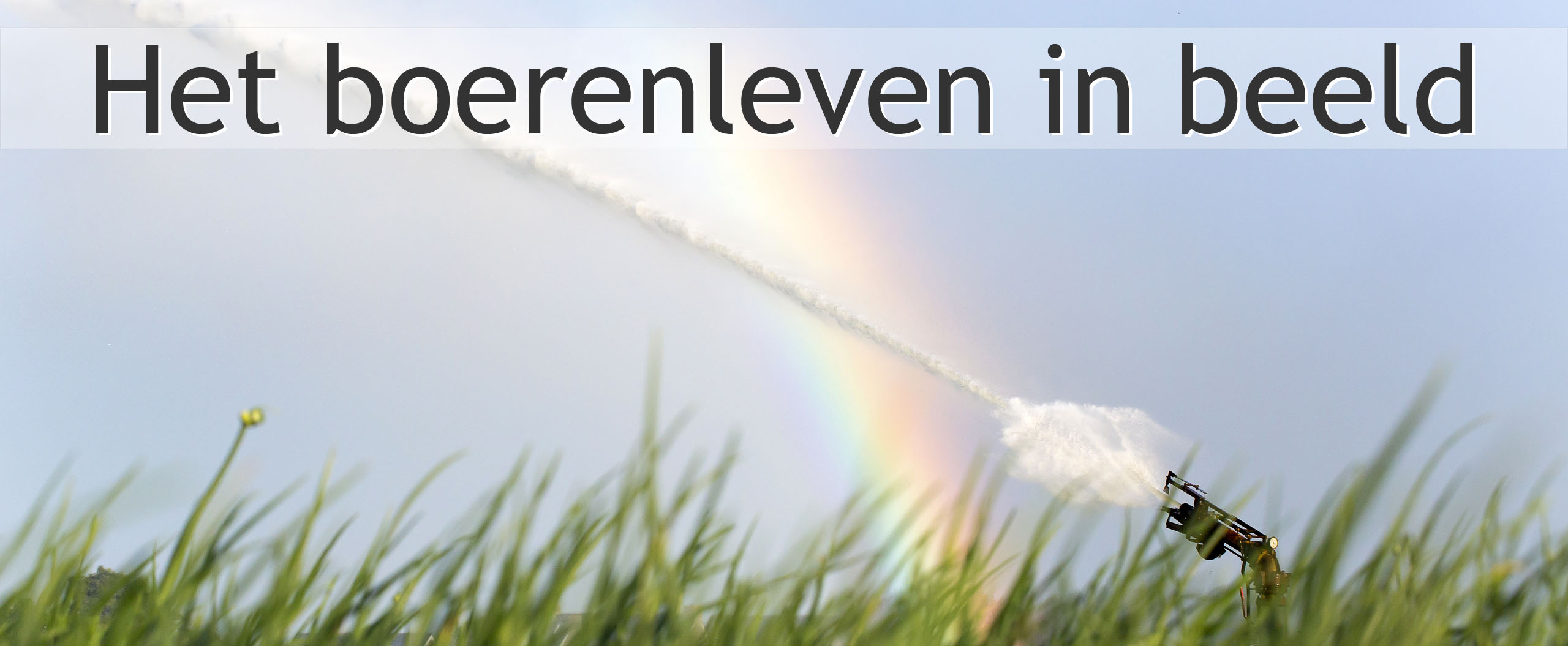 uien beregenen