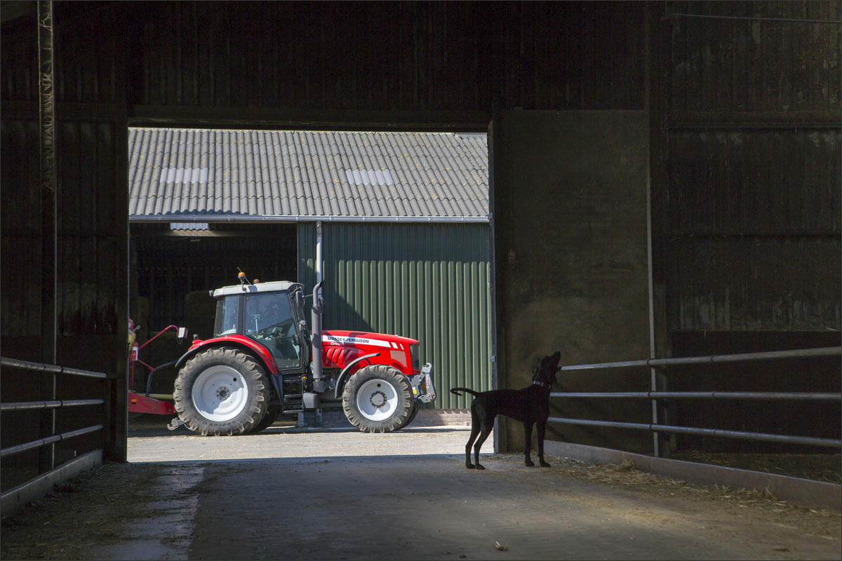 geitenboerderij tractor hond