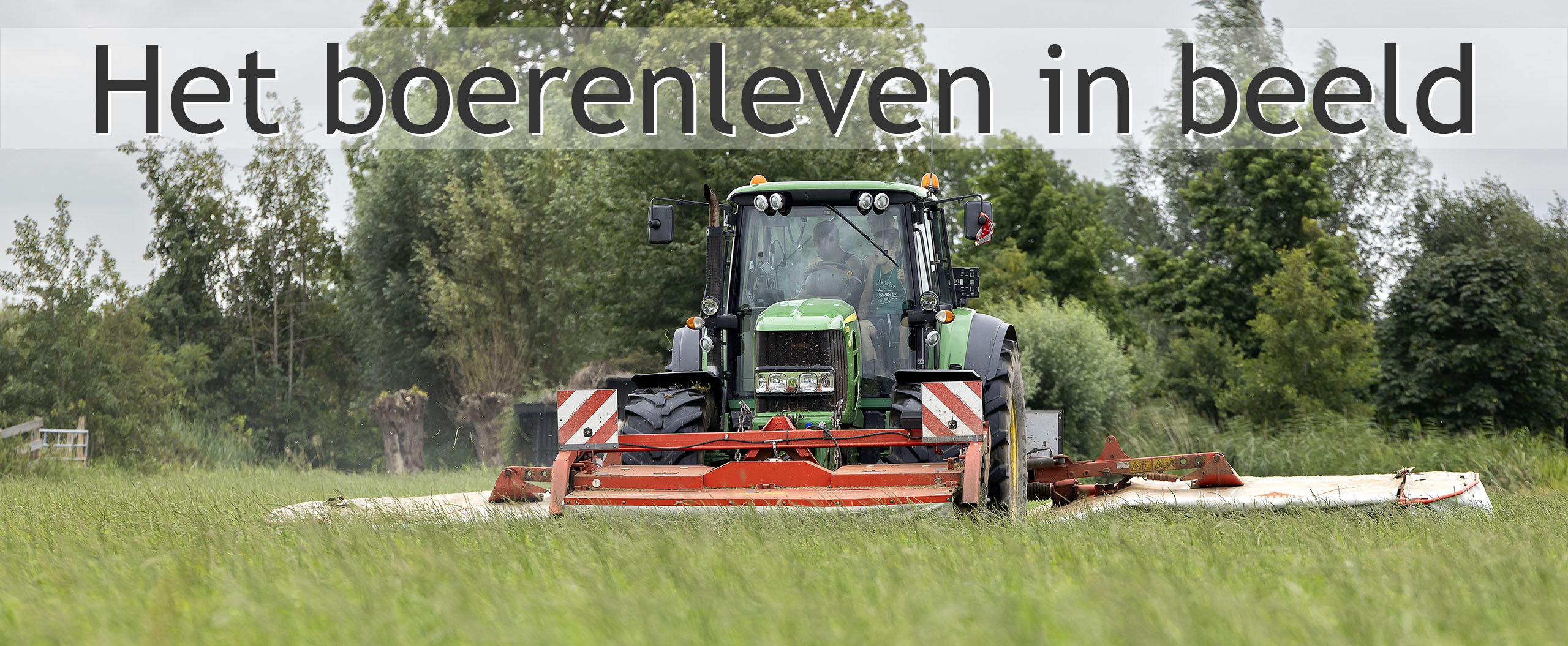 gras maaien melkveehouderij