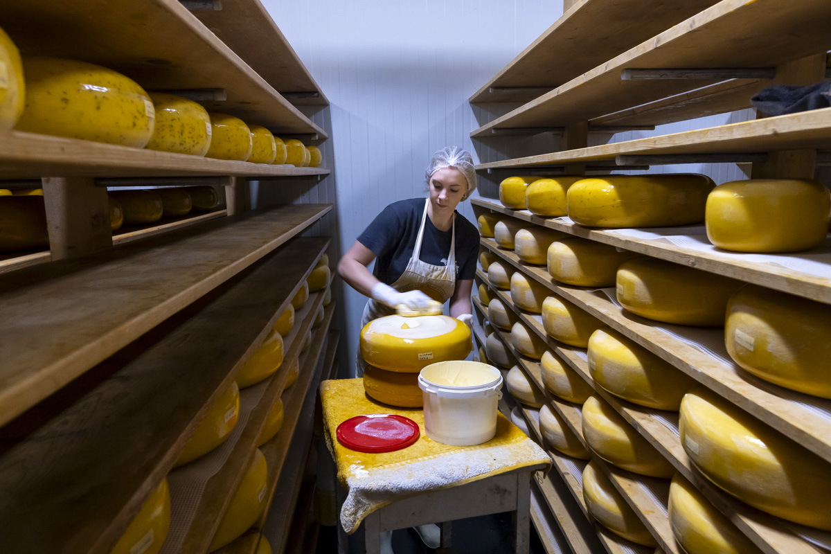 boerenkaas kaasmakerij kaas plasticen